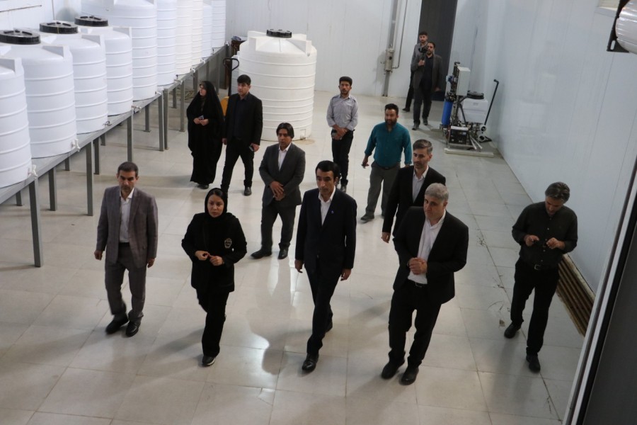 ظرفیت‌های دانش‌بنیان کهگیلویه و بویراحمد؛ فرصتی طلایی در انتظار حمایت  