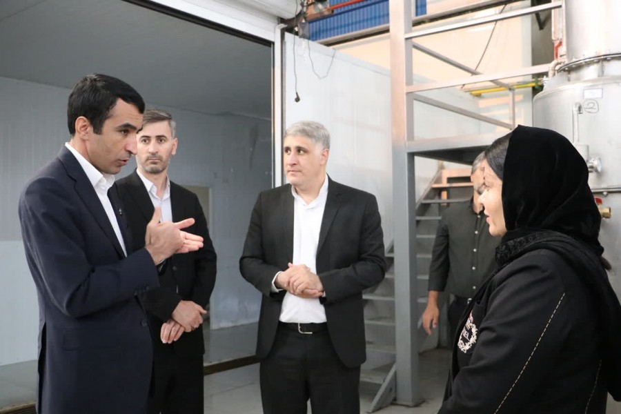 ظرفیت‌های دانش‌بنیان کهگیلویه و بویراحمد؛ فرصتی طلایی در انتظار حمایت  