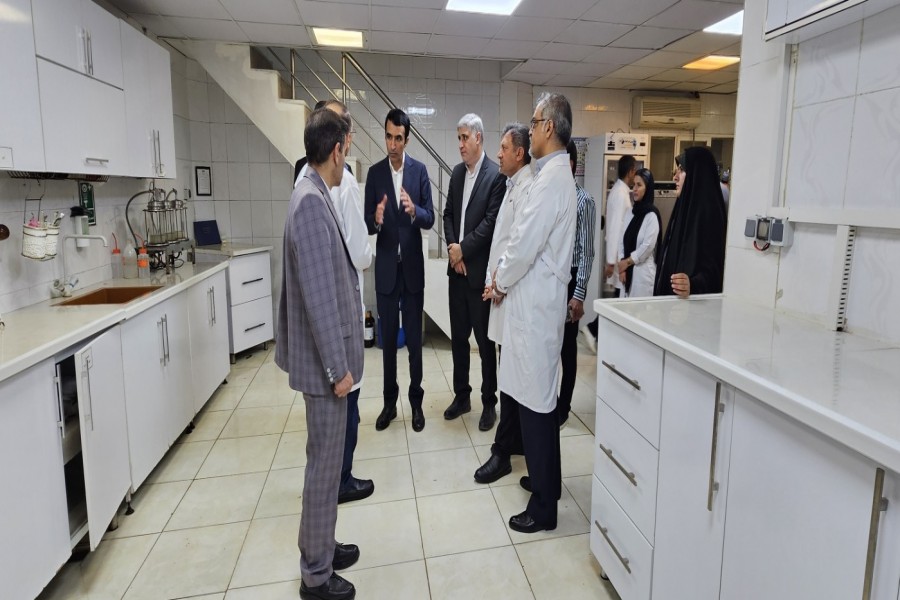 ظرفیت‌های دانش‌بنیان کهگیلویه و بویراحمد؛ فرصتی طلایی در انتظار حمایت  
