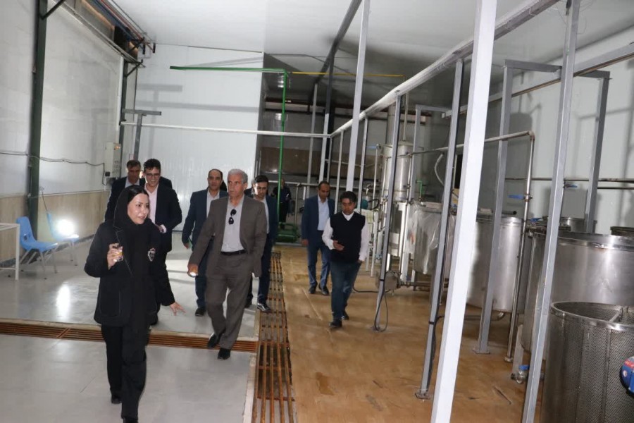 رویداد پیشرانان توسعه گیاهان دارویی ایران در پارک علم و فناوری کهگیلویه و بویراحمد برگزار شد