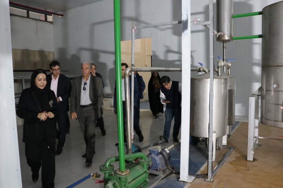 رویداد پیشرانان توسعه گیاهان دارویی ایران در پارک علم و فناوری کهگیلویه و بویراحمد برگزار شد