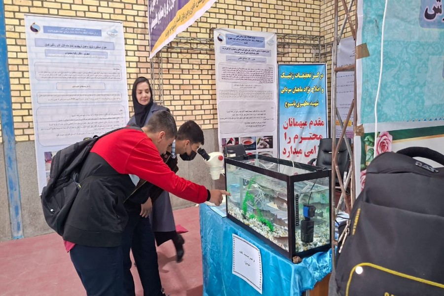 	آیین افتتاحیه نمایشگاه دستاوردهای پژوهش، فناوری و فن‌بازار ۱۴۰۴ کهگیلویه و بویراحمد برگزار شد