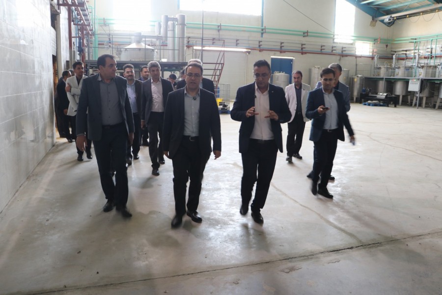 نگاهی به روز دوم سفر معاون فناوری و نوآوری وزارت عتف به استان