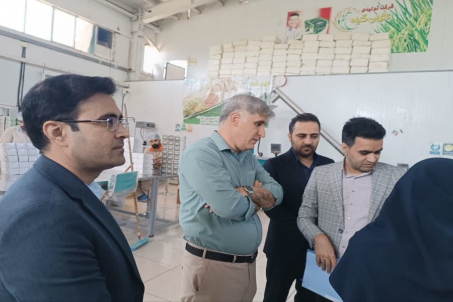 رصد میدانی صنایع مستعد ورود به زیست‌بوم دانش‌بنیان در استان.
